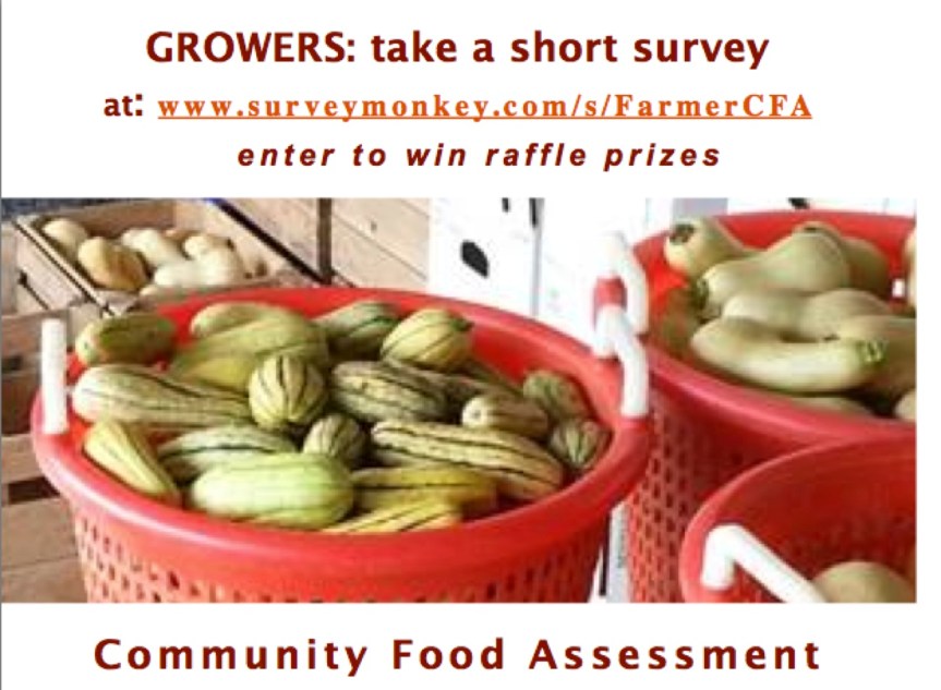 SURVEY POSTCARD FRONT